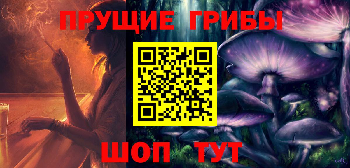 Славгород  Псилоцибиновые грибы MAGIC MUSHROOMS  наркотики  Галлюциногенные грибы мицелий  Вход с VPN 